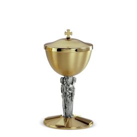 Pisside fusione - art. 328 A