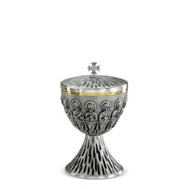 Pisside fusione - art. 330 A